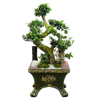 팬더나무 상품이미지